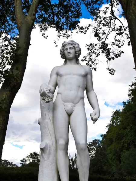 Statue de l'homme tenant un raisin — Photo
