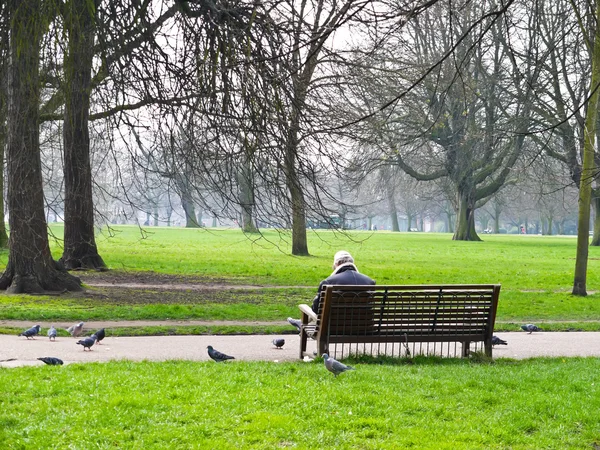 Homme dans le jardin avec les pigeons — Photo