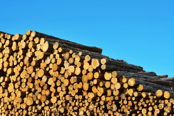Hoop van hout logs — Stockfoto