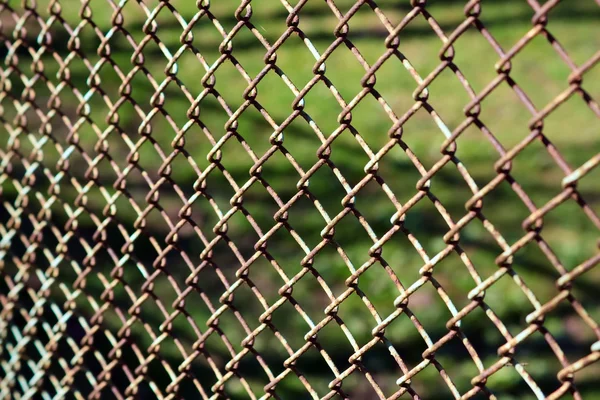 stock image Fence Netting