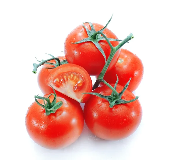 Tak van tomaat geïsoleerd — Stockfoto
