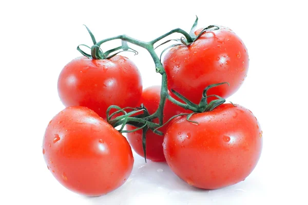 番茄的分枝 — 图库照片
