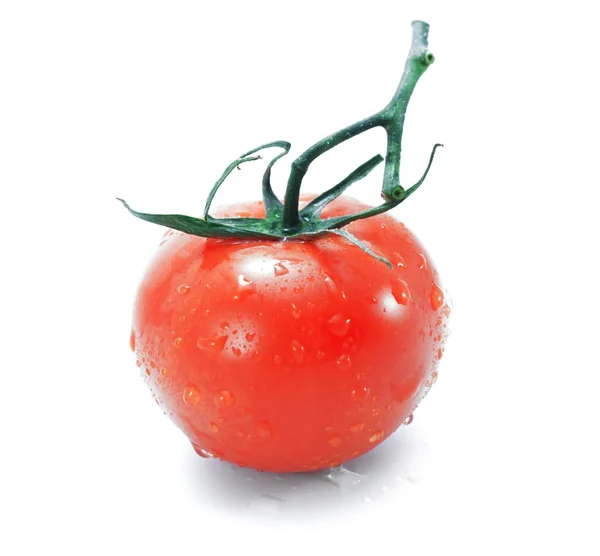 孤立的番茄 — 图库照片