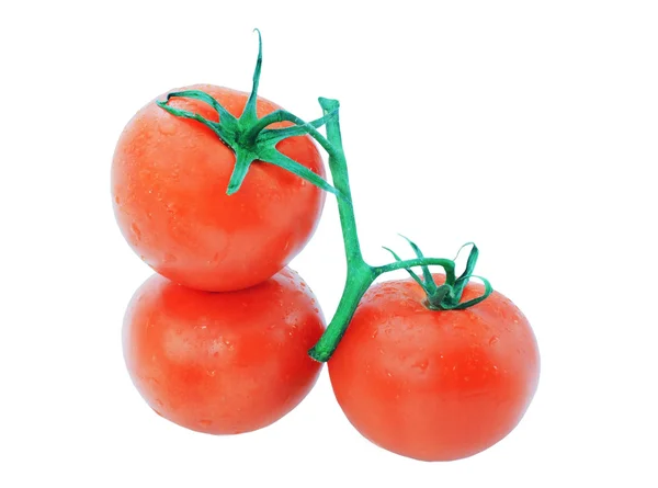 Drie tomaat geïsoleerd — Stockfoto