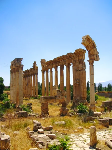 Kolommen van een oude tempel in Libanon — Stockfoto
