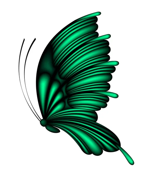 Grön fjäril — Stock vektor