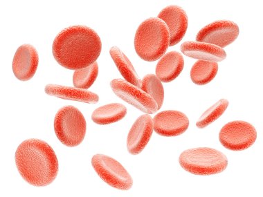 Plasma. Red blood cells. Isolated clipart
