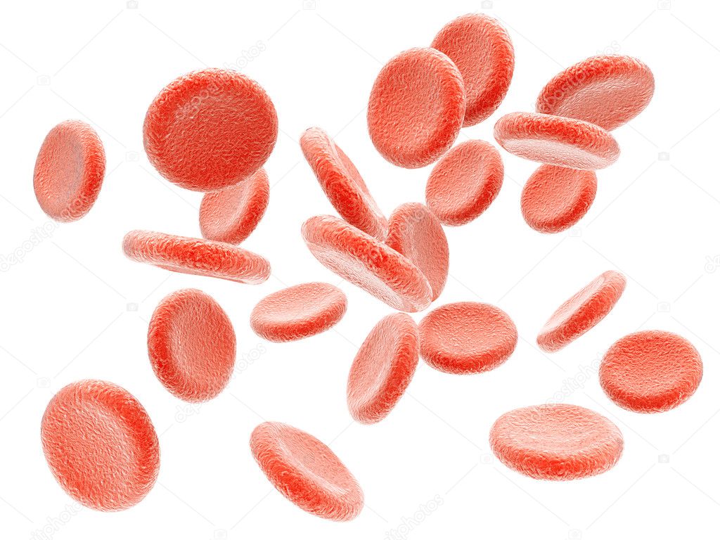 Plasma. Red blood cells. Isolated