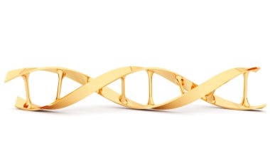 Gold DNA. 3d illustration, isolated. clipart