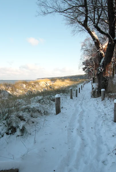 Verschneiter Weg hinter den Dünen am Strand von Lubmin bei Greifswald. — Stock Photo, Image