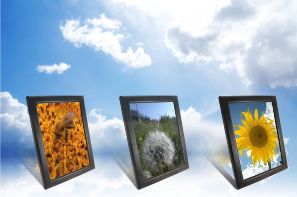 stock image Group of nature pictures in a frames on a sky background