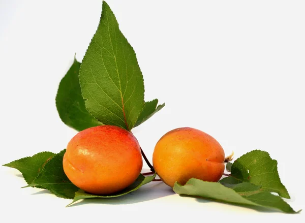 Saftige Aprikosen — Stockfoto