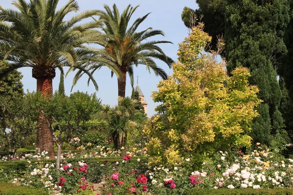 stock image Garden in Alhambra