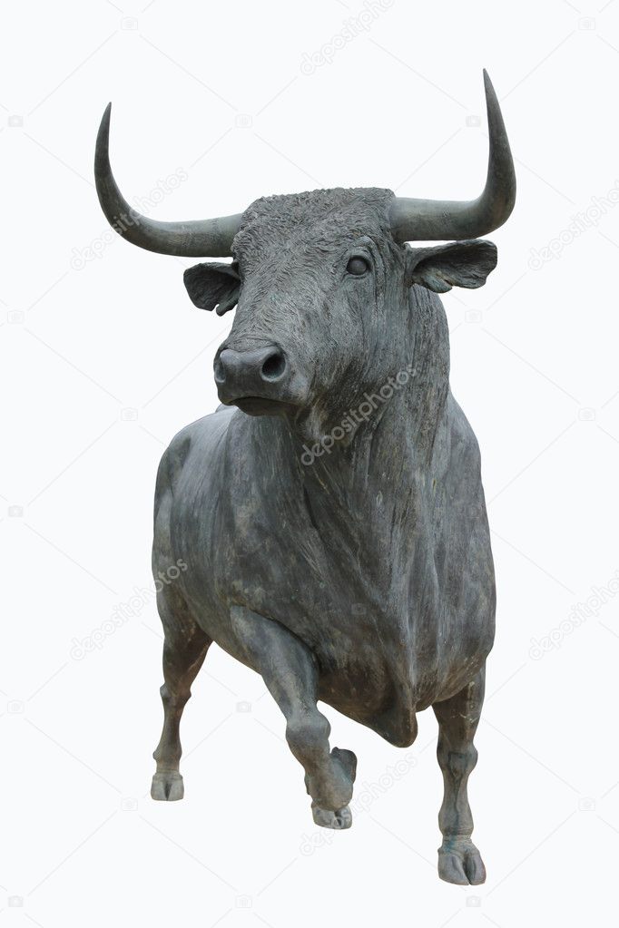 A bull