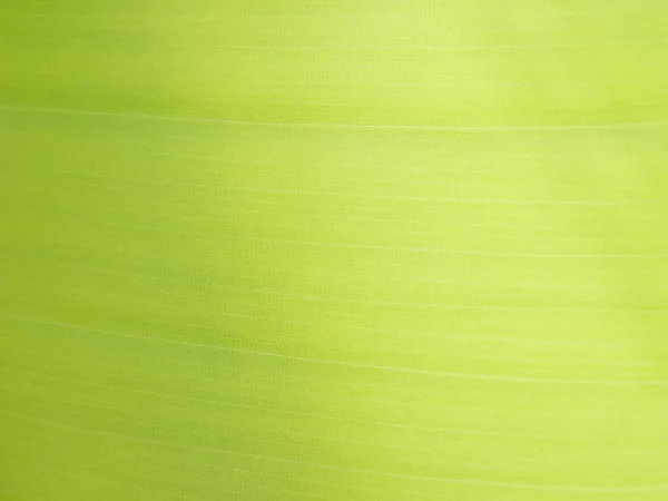 Banana leaf фону — стокове фото