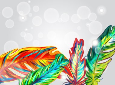 Bright feathers clipart