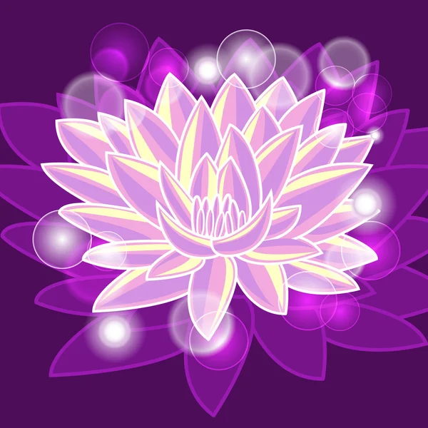 Shiny lotus — Stock Vector