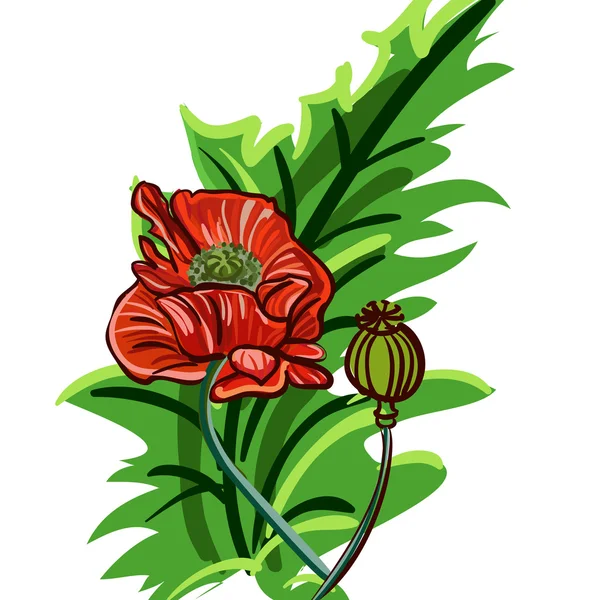 红罂粟 — 图库矢量图片
