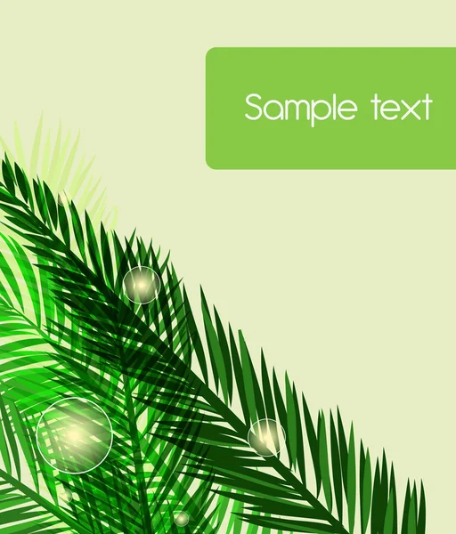 棕榈树叶 — 图库矢量图片