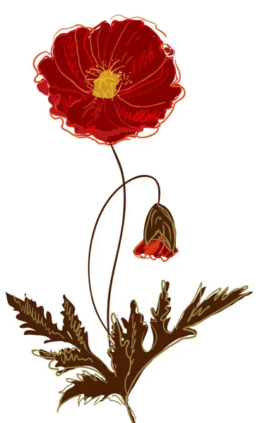 Pavot rouge — Image vectorielle