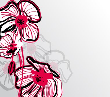 Poppies clipart