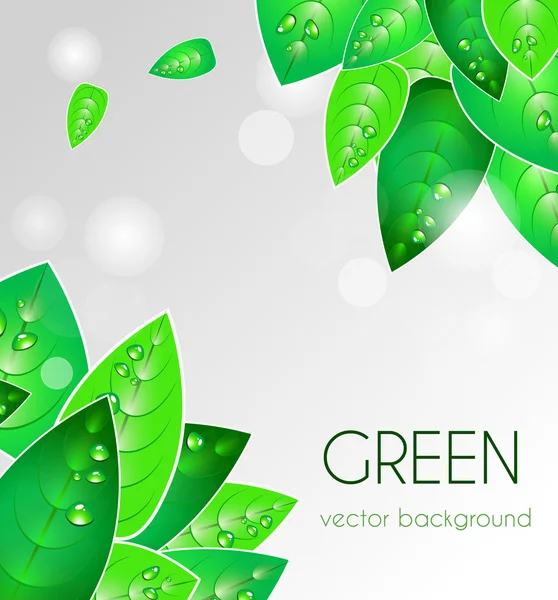 Abstract natural background — Stock Vector