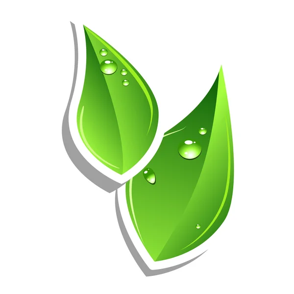 Πράσινα φύλλα — Διανυσματικό Αρχείο