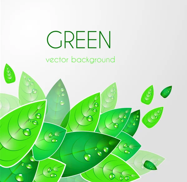 Abstract natural background — Stock Vector