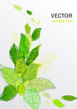 Floral vector clipart