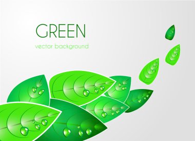 Abstract natural background clipart