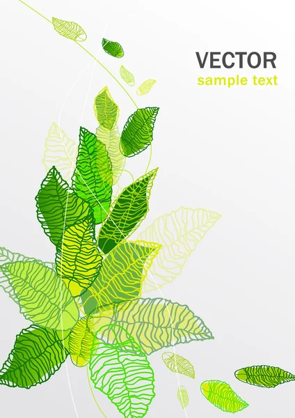 Blommig vektor — Stock vektor