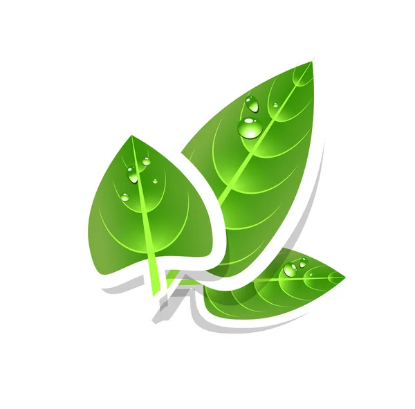 Folhas verdes — Vetor de Stock