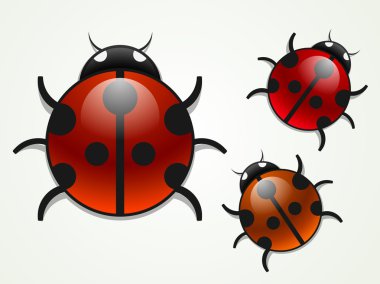 Set of vector multicolored ladybugs clipart