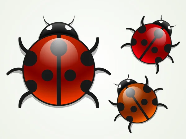 Set of vector multicolored ladybugs — Stock Vector