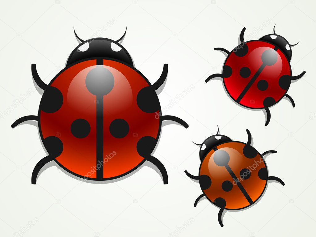 Set of vector multicolored ladybugs