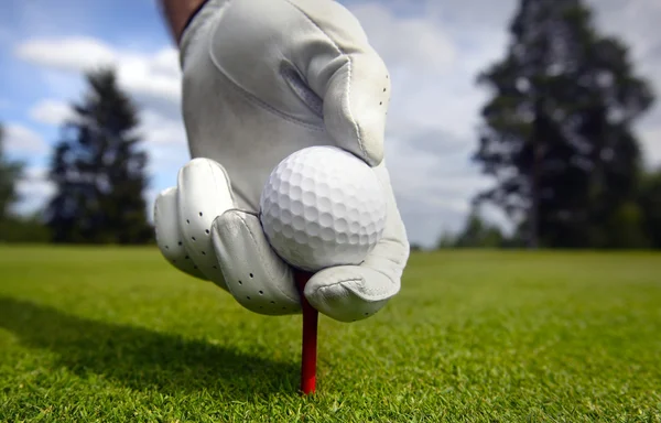 Bir tee Golf topu yerleştirme — Stok fotoğraf