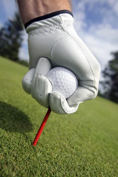 Colocar bola de golfe em um tee — Fotografia de Stock