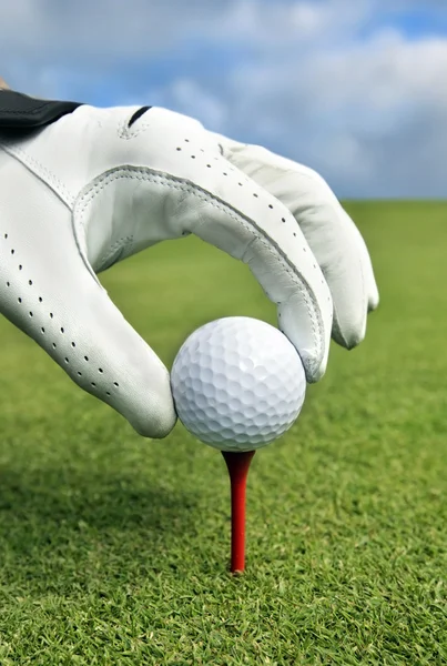 Ręczne wprowadzanie tee z piłeczki do golfa — Zdjęcie stockowe