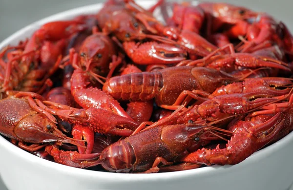 Peixe-lagosta cozido — Fotografia de Stock
