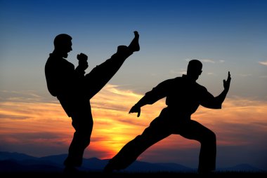 Martial art clipart