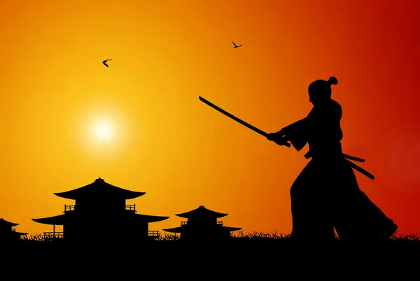 Samurai — ストック写真