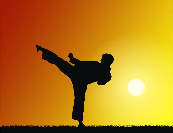 Martial art — Stock Photo, Image