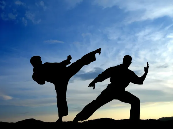 Martial art — Stock Photo, Image