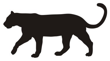 Puma silhouette clipart