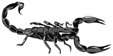 Scorpion clipart