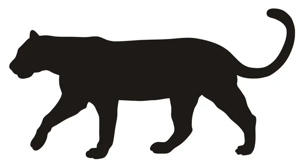 Puma siluett — Stock vektor