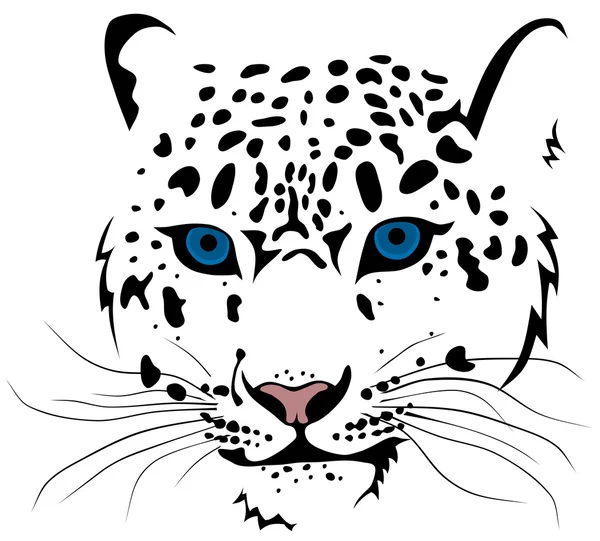 Leopardo da neve —  Vetores de Stock
