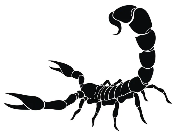 Escorpión — Vector de stock