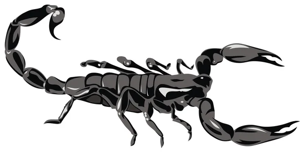 Scorpion — Stock Vector
