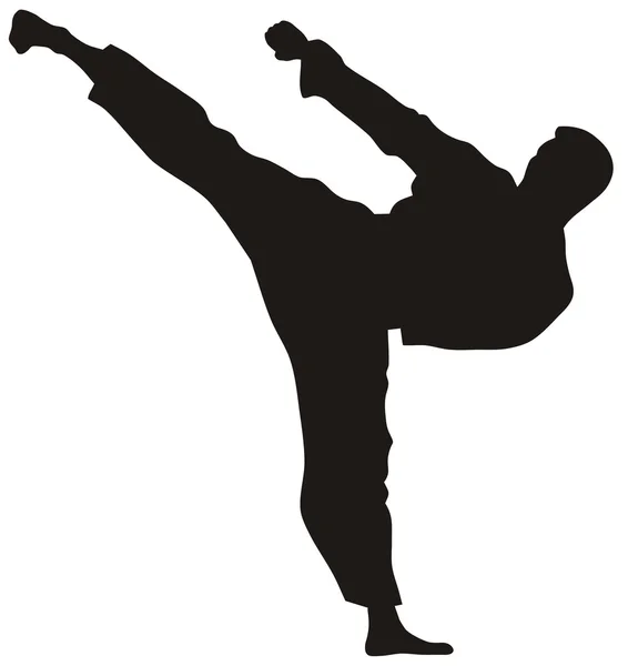 Martial art — Stock Vector